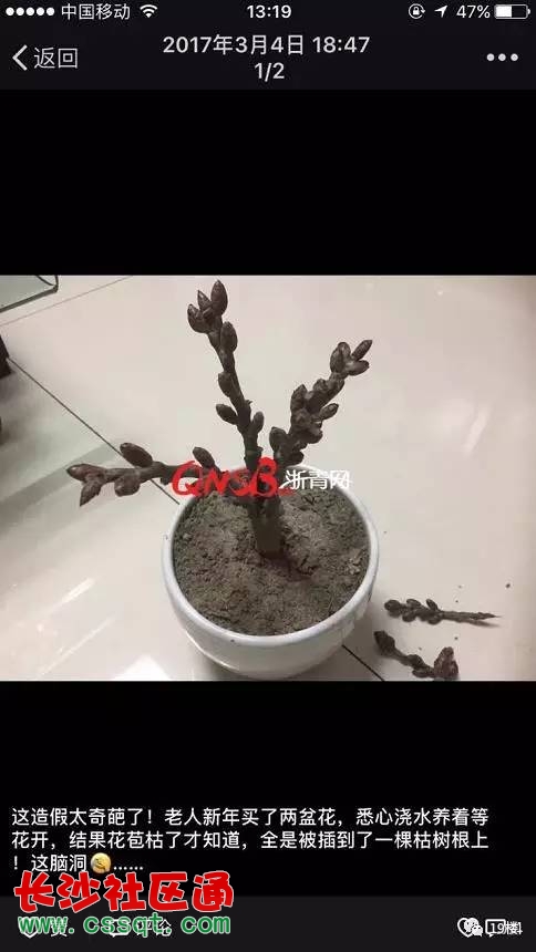 ݴI꺬ŵ÷Ϥ(sh)ºɵ